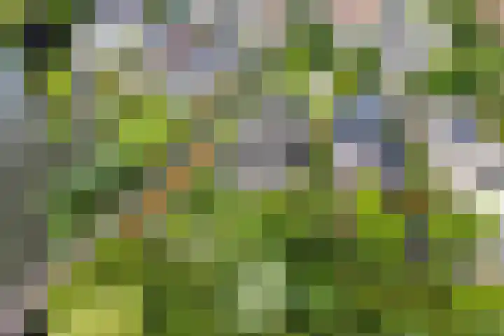 Tiarastraat 23 Almere thumbnail 7