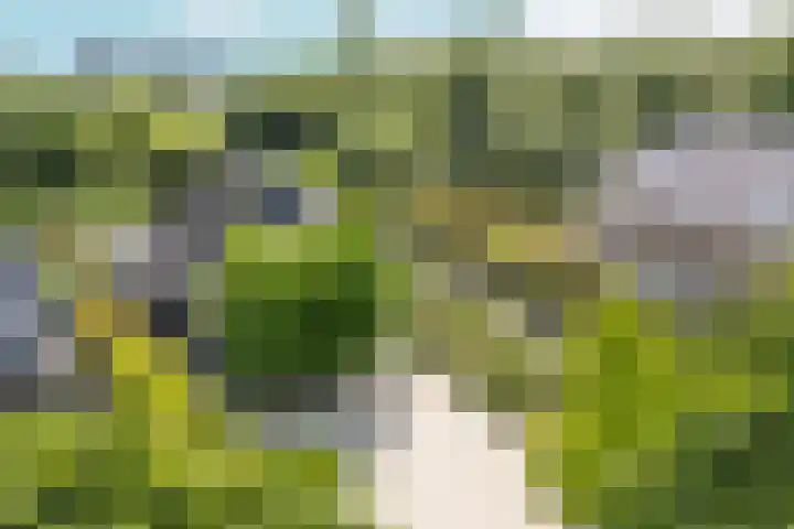 Tiarastraat 23 Almere thumbnail 8