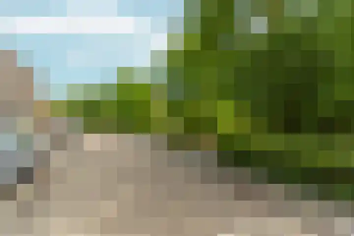 Tiarastraat 23 Almere thumbnail 9