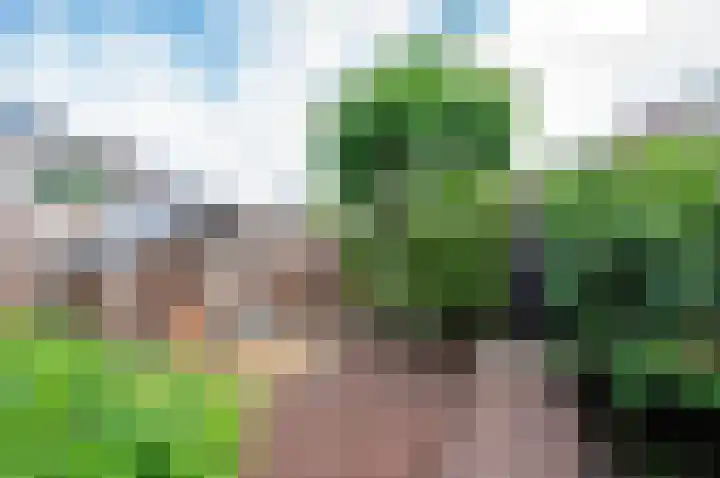 Tiarastraat 28 Almere thumbnail 17