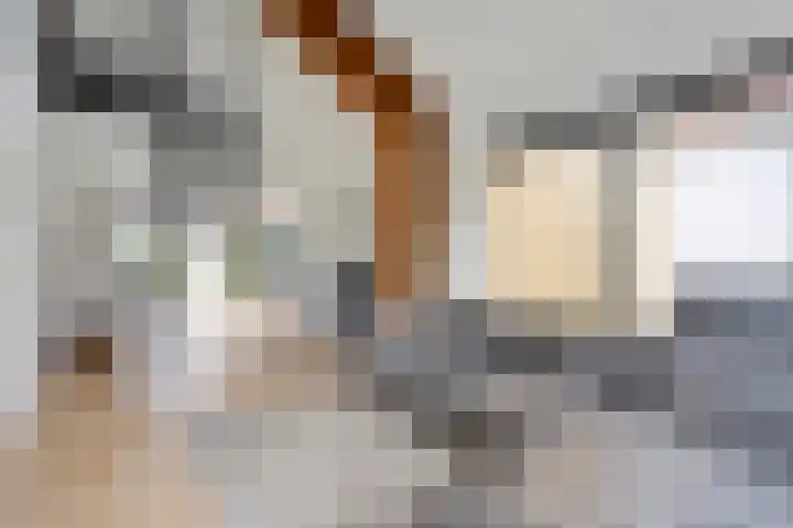 Tibbensteeg 9 Dalfsen thumbnail 11