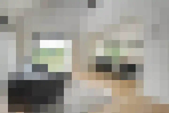 Tibbensteeg 9 Dalfsen thumbnail 12