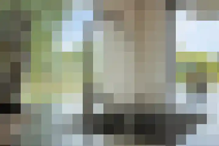 Tibbensteeg 9 Dalfsen thumbnail 16