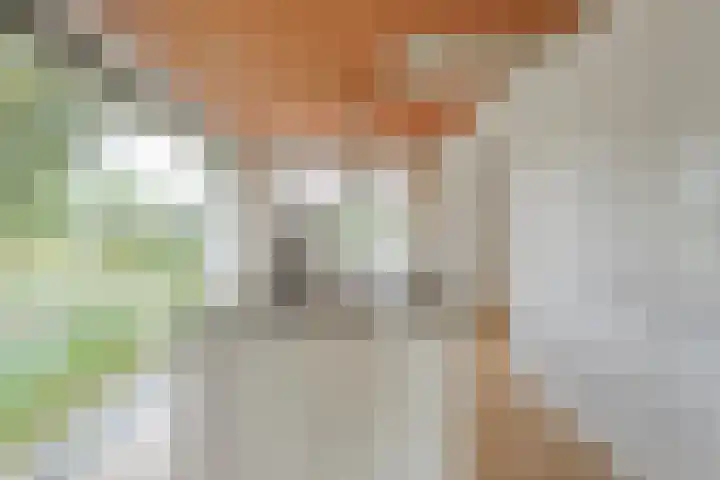 Tibbensteeg 9 Dalfsen thumbnail 17