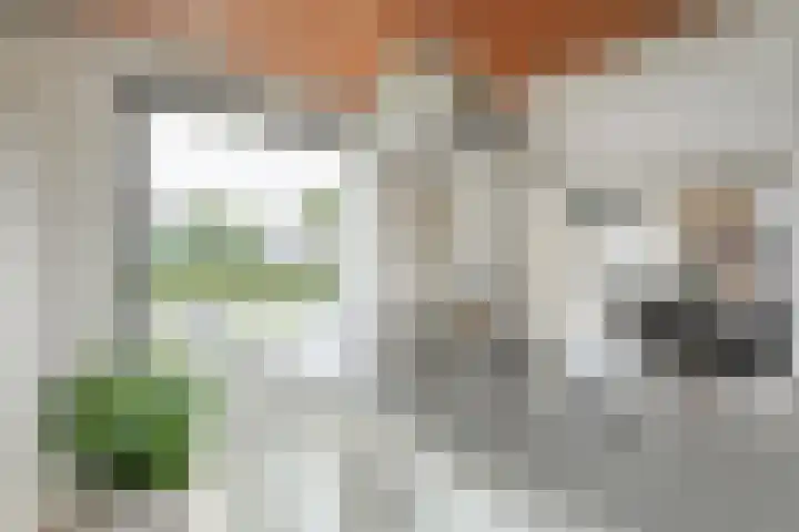 Tibbensteeg 9 Dalfsen thumbnail 18