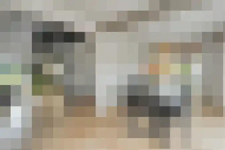 Tibbensteeg 9 Dalfsen thumbnail 21