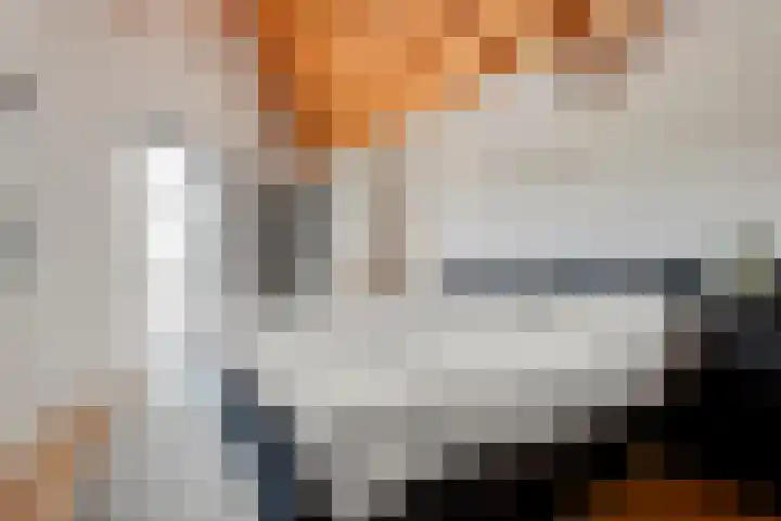 Tibbensteeg 9 Dalfsen thumbnail 23