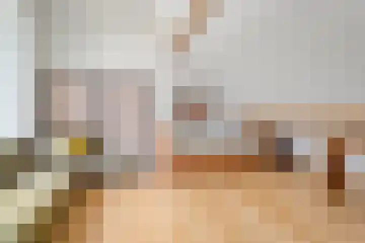 Tibbensteeg 9 Dalfsen thumbnail 33