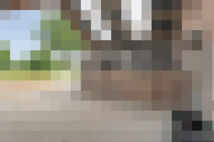 Tibbensteeg 9 Dalfsen thumbnail 42