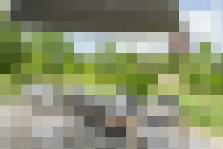 Tibbensteeg 9 Dalfsen thumbnail 43