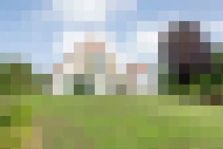 Tibbensteeg 9 Dalfsen thumbnail 46