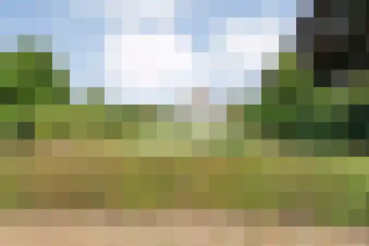 Tibbensteeg 9 Dalfsen thumbnail 47