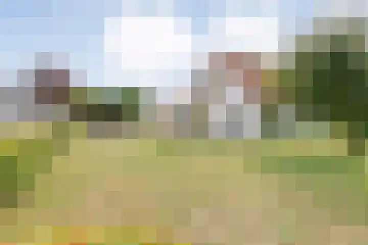 Tibbensteeg 9 Dalfsen thumbnail 48