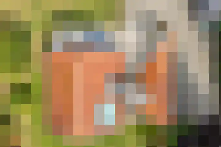 Tibbensteeg 9 Dalfsen thumbnail 49