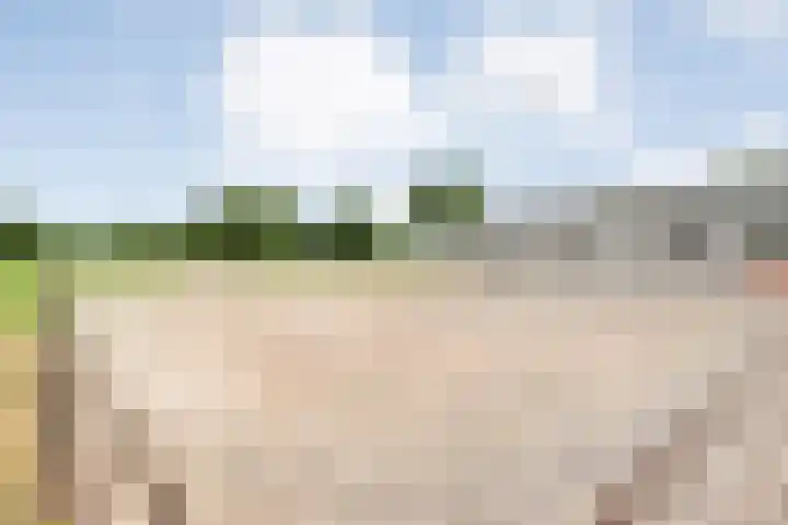 Tibbensteeg 9 Dalfsen thumbnail 51