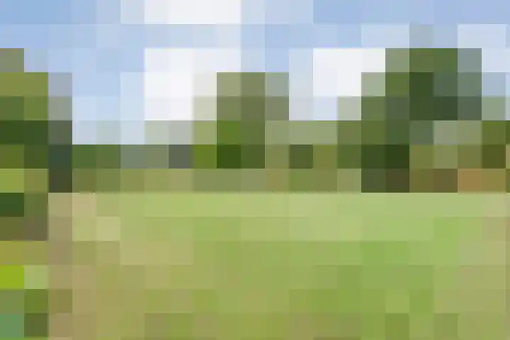 Tibbensteeg 9 Dalfsen thumbnail 52