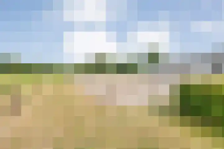 Tibbensteeg 9 Dalfsen thumbnail 53
