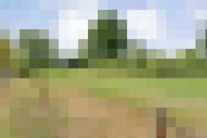 Tibbensteeg 9 Dalfsen thumbnail 54
