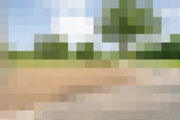 Tibbensteeg 9 Dalfsen thumbnail 55