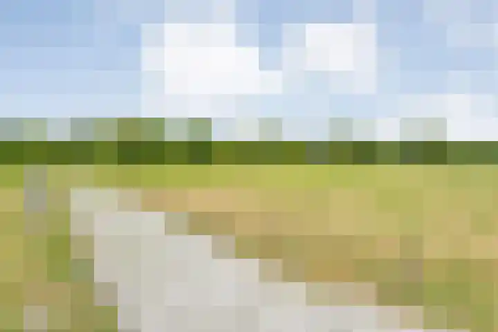 Tibbensteeg 9 Dalfsen thumbnail 56