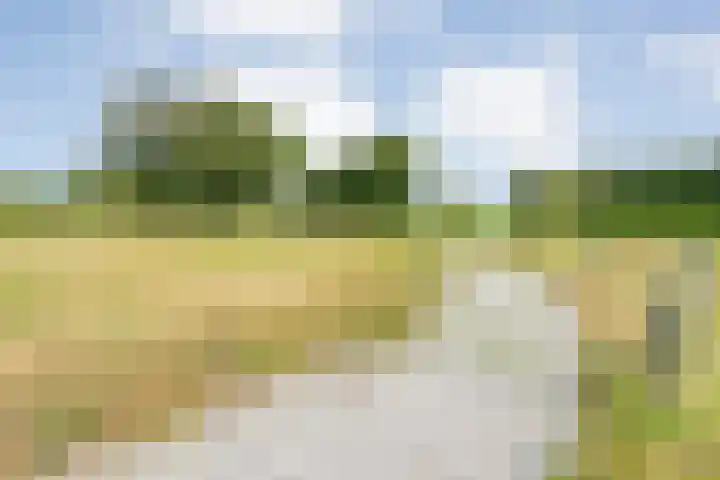 Tibbensteeg 9 Dalfsen thumbnail 57