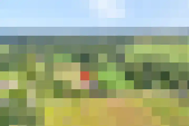 Tibbensteeg 9 Dalfsen thumbnail 6