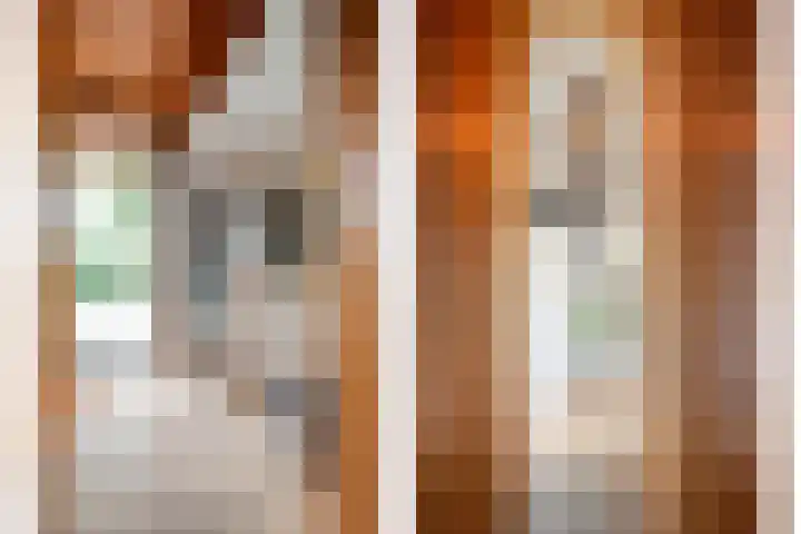 Tibbensteeg 9 Dalfsen thumbnail 9