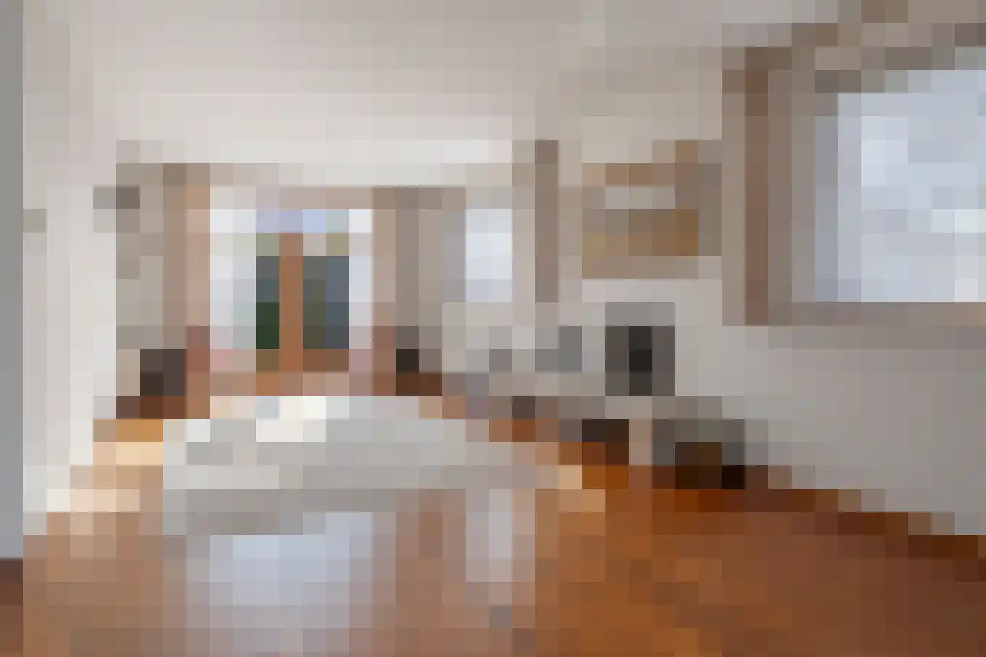 Tibeertlaan 3 Oudenbosch thumbnail 11