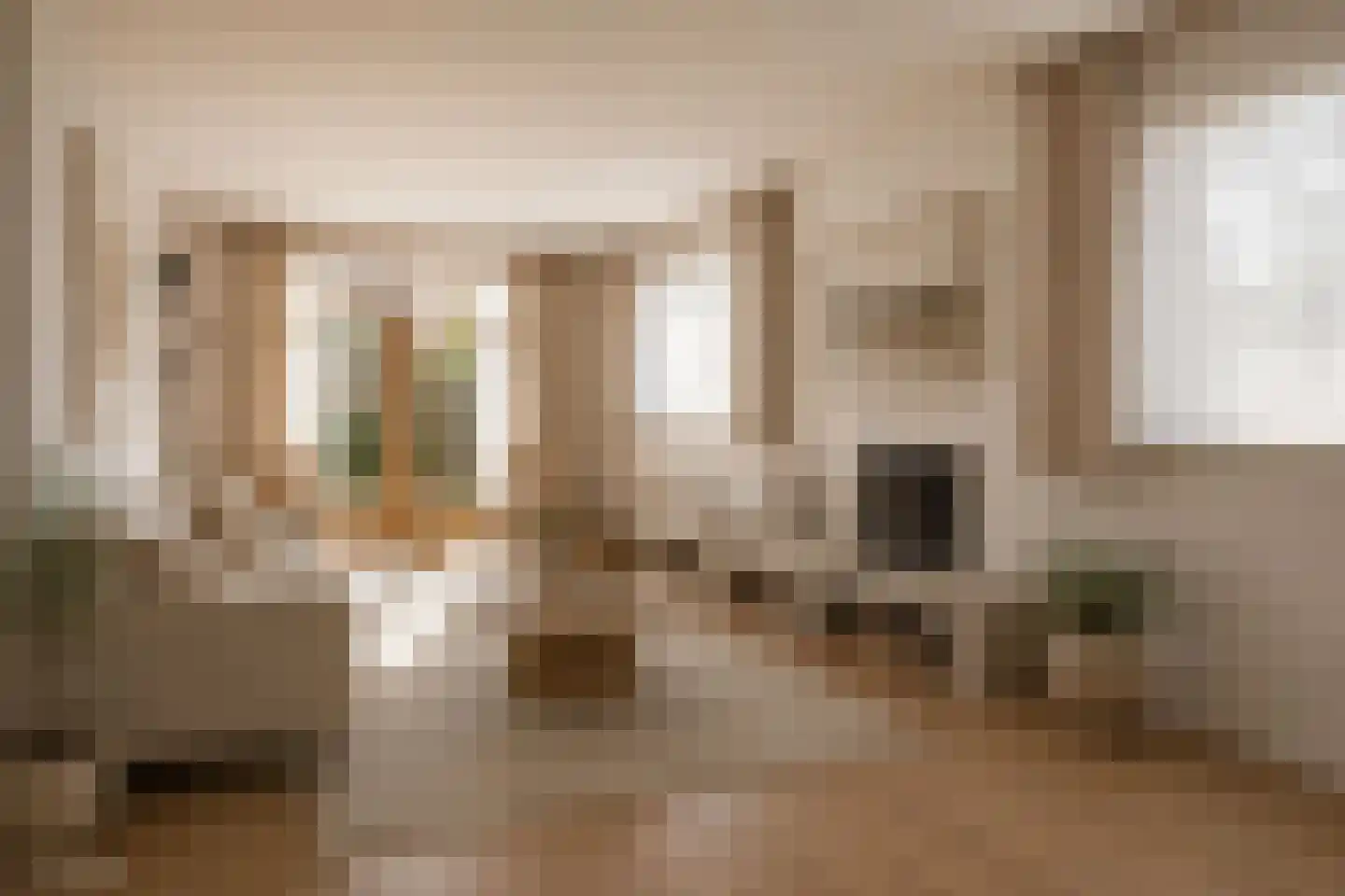 Tibeertlaan 3 Oudenbosch thumbnail 12