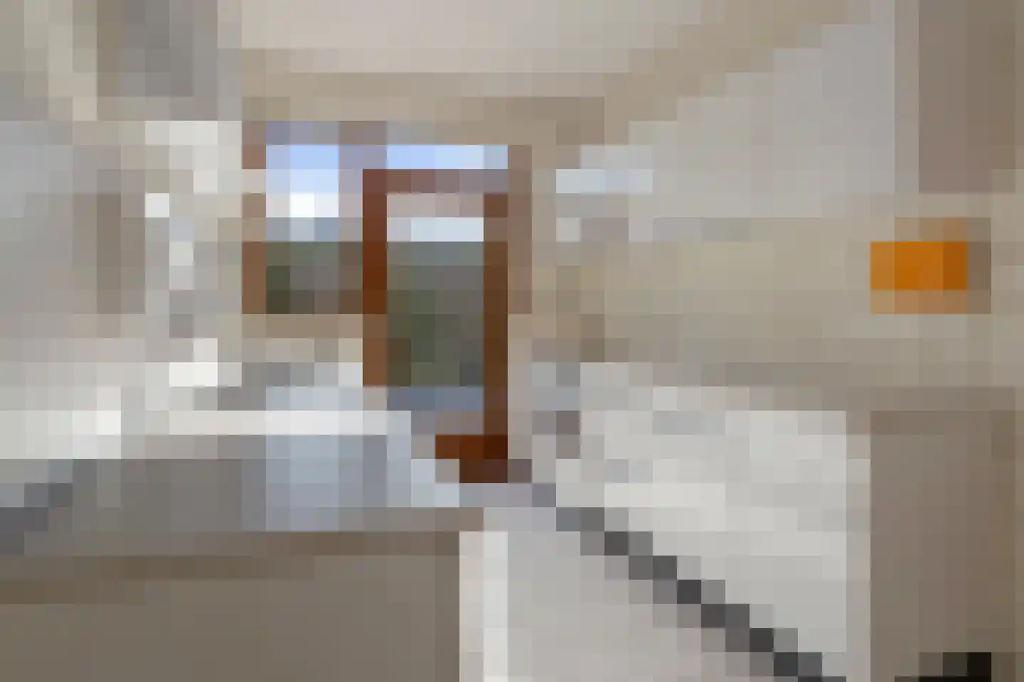 Tibeertlaan 3 Oudenbosch thumbnail 15