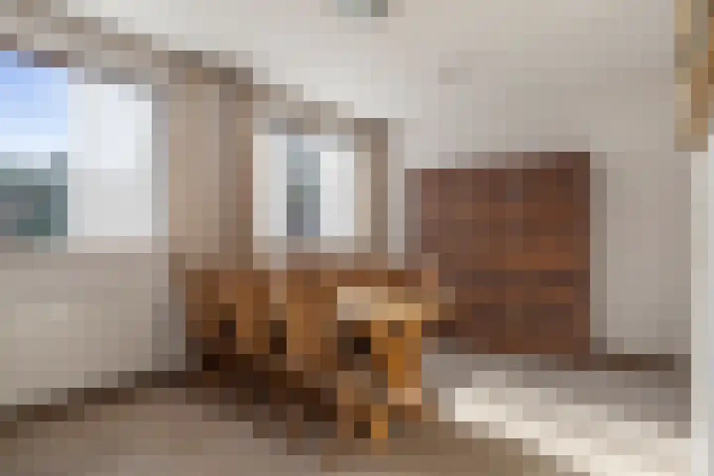 Tibeertlaan 3 Oudenbosch thumbnail 17