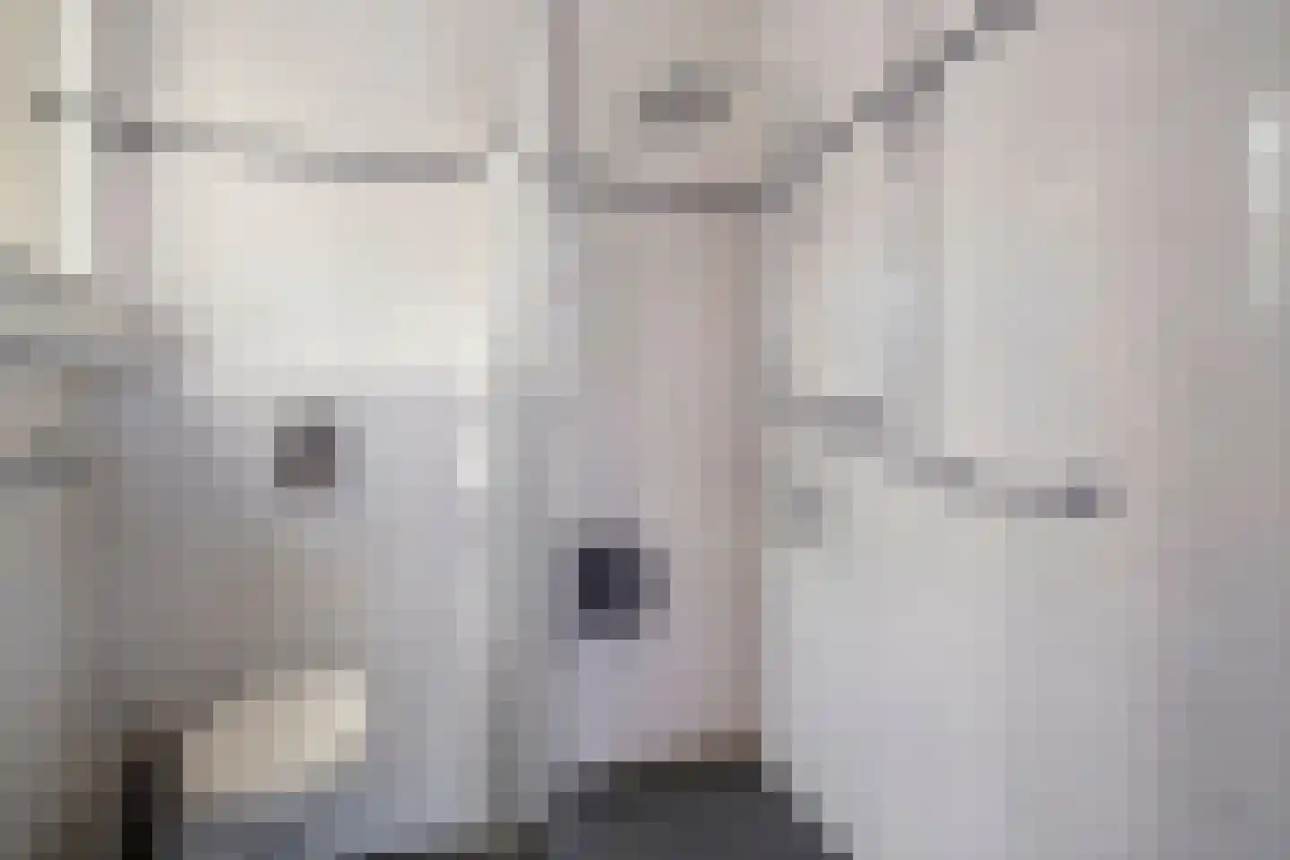 Tibeertlaan 3 Oudenbosch thumbnail 23