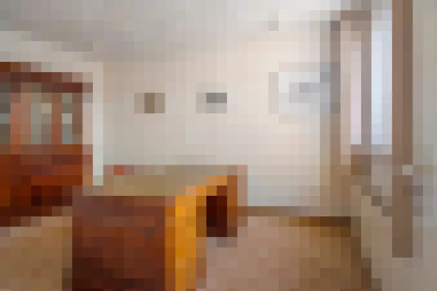 Tibeertlaan 3 Oudenbosch thumbnail 24