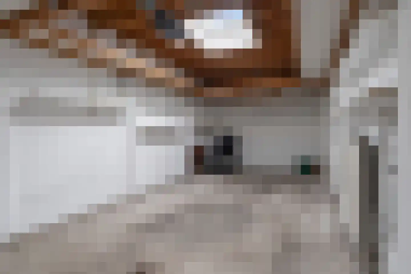 Tibeertlaan 3 Oudenbosch thumbnail 27