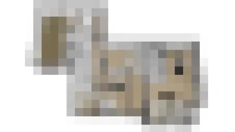 Tibeertlaan 3 Oudenbosch thumbnail 33