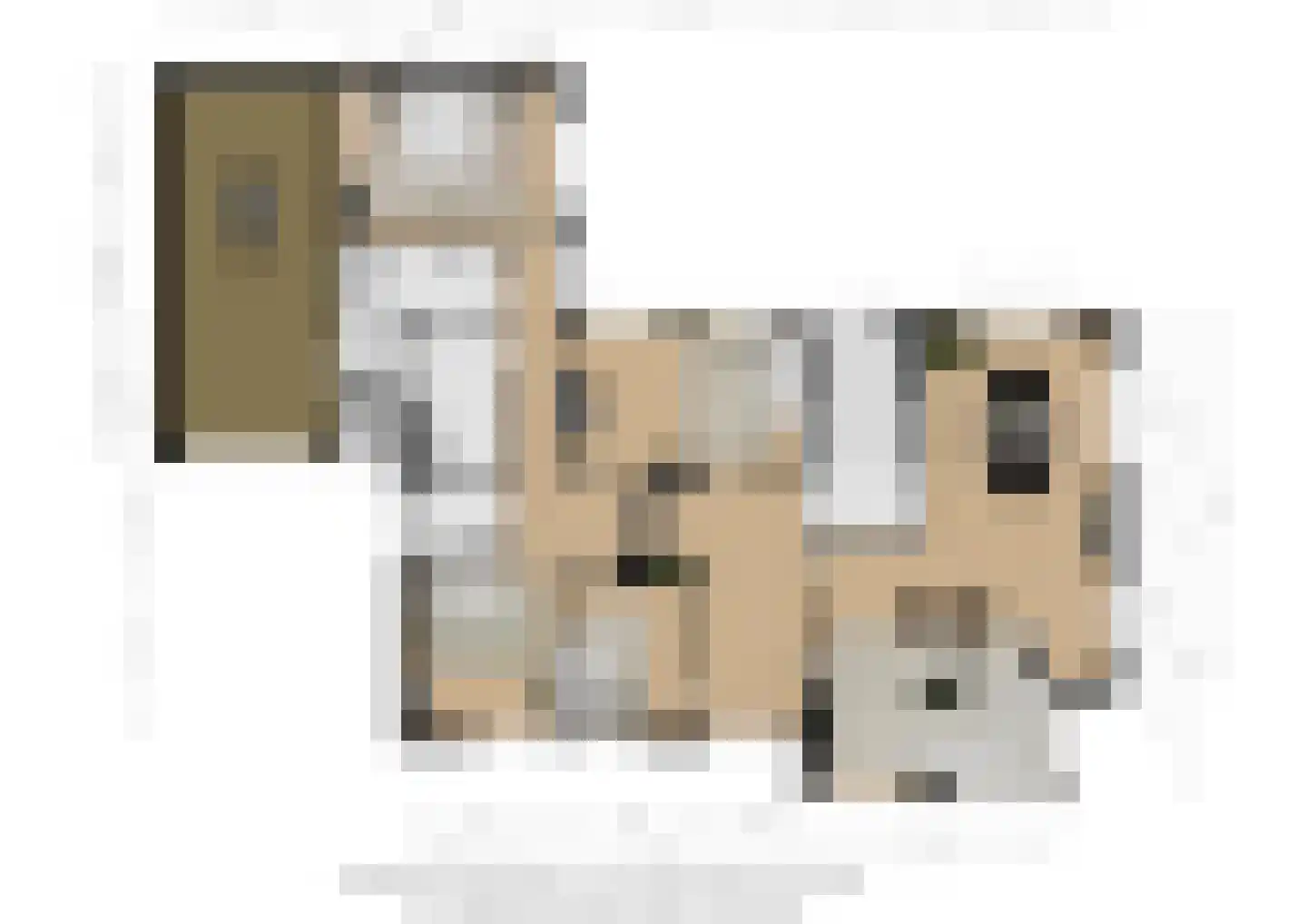 Tibeertlaan 3 Oudenbosch thumbnail 34
