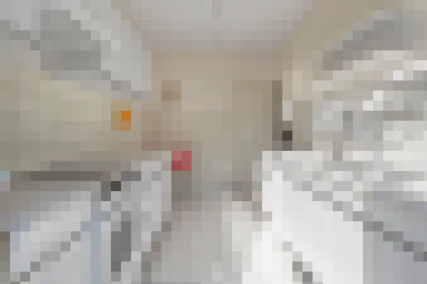 Tibeertlaan 3 Oudenbosch thumbnail 4