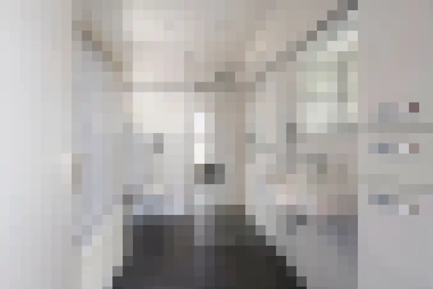 Tibeertlaan 3 Oudenbosch thumbnail 7