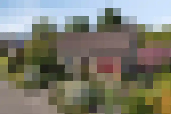 Tibeertlaan 6 Oudenbosch thumbnail 11