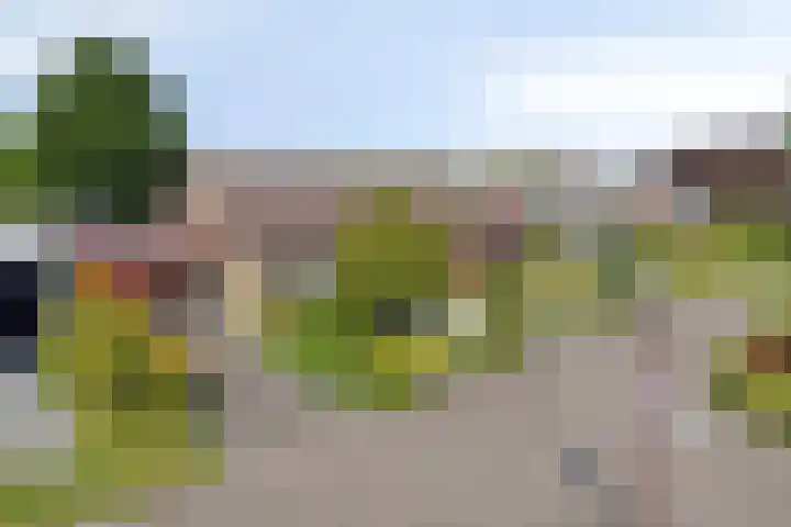 Tibeertlaan 6 Oudenbosch thumbnail 12