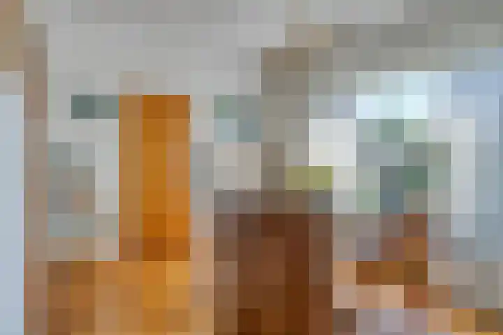 Tibeertlaan 6 Oudenbosch thumbnail 16