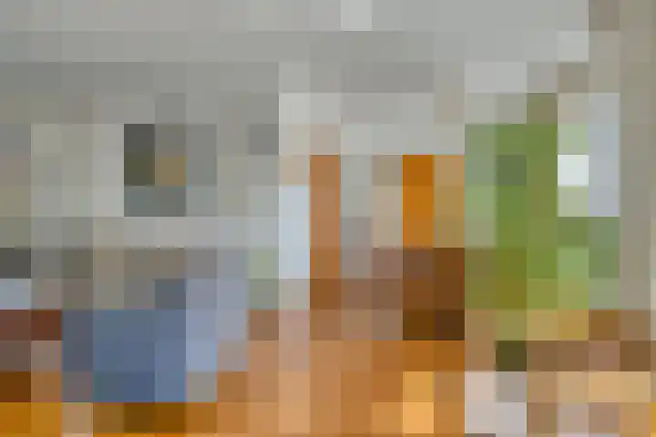 Tibeertlaan 6 Oudenbosch thumbnail 17