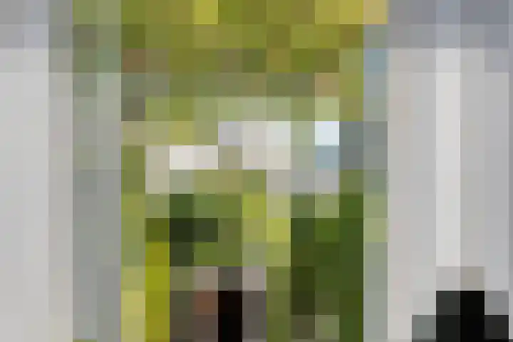 Tibeertlaan 6 Oudenbosch thumbnail 18