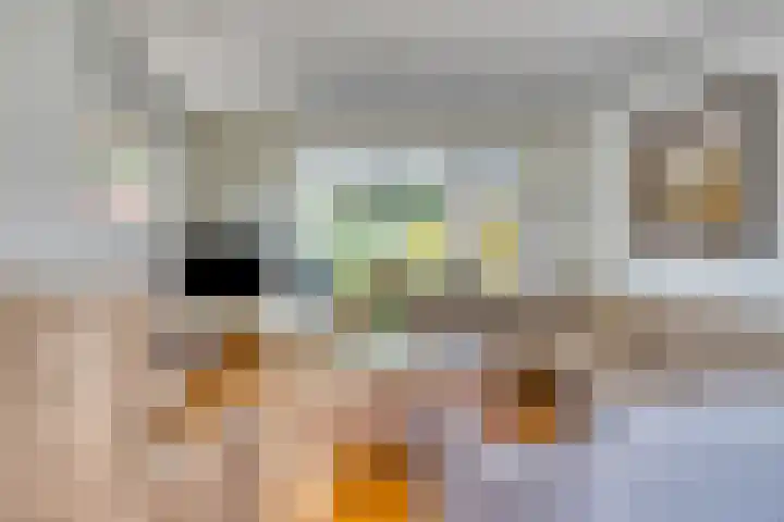 Tibeertlaan 6 Oudenbosch thumbnail 19