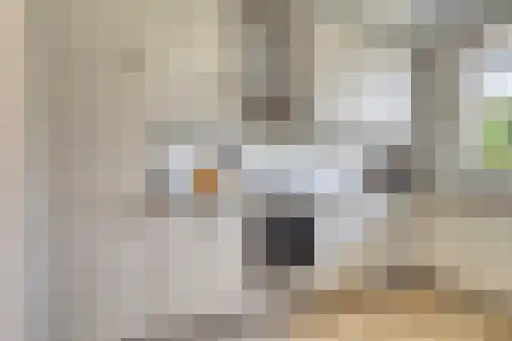 Tibeertlaan 6 Oudenbosch thumbnail 21
