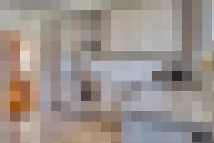 Tibeertlaan 6 Oudenbosch thumbnail 23