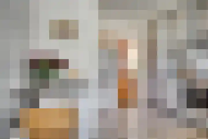 Tibeertlaan 6 Oudenbosch thumbnail 24
