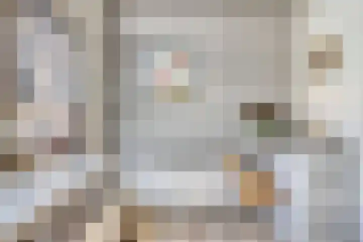 Tibeertlaan 6 Oudenbosch thumbnail 25