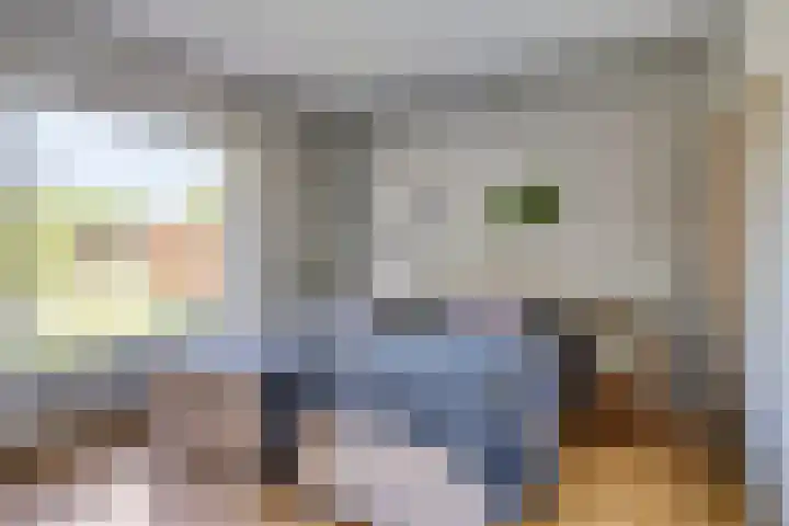 Tibeertlaan 6 Oudenbosch thumbnail 27