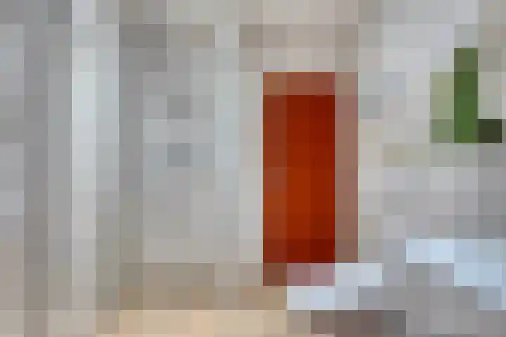 Tibeertlaan 6 Oudenbosch thumbnail 31
